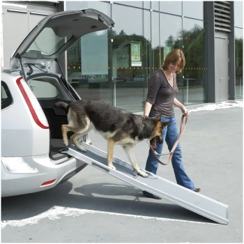 Eine Frau führt einen Hund über eine Rampe von der Rückseite eines silbernen Autos in einer modernen Außenumgebung.