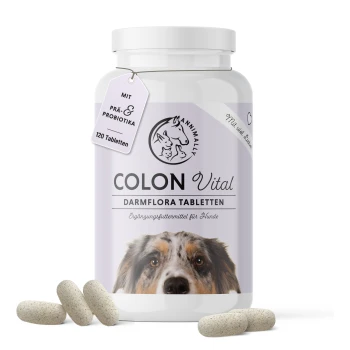 Flasche mit Colon Vital Nahrungsergänzungsmittel für Hunde, mit 120 Tabletten, mit einer Nahaufnahme eines Hundegesichts auf dem Etikett.