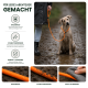 Orangefarbene Slip-Lead-Hundeleine mit schwarzen Verbindern und Metallring, aufgerollt auf schwarzem Hintergrund.