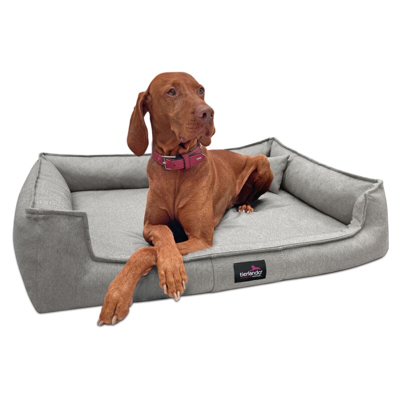 Tierlando ® Orthopädisches Hundebett GUSTAV SCANDI CHIC Große Hunde XL Hundesofa