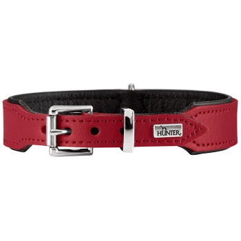 Rotes Lederhalsband mit schwarzer Polsterung, silberner Schnalle und metallener "HUNTER"-Logoplatte vor weißem Hintergrund.
