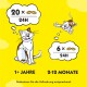 Dessin animé d'un chat et d'un chaton sur fond jaune, montrant l'alimentation : "20 x 24H" pour les chats de plus d'un an, "6 x 24H" pour les chatons de 2 à 12 mois.