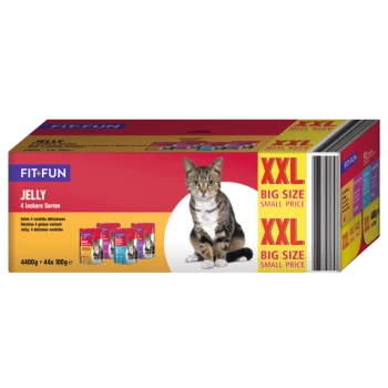Opakowanie dla żelu z jedzeniem dla kotów FIT+FUN, z tabby kotem i tekstem podkreślającym "4 pyszne warianty" oraz "XXL DUŻY ROZMIAR MAŁA CENA."