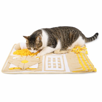 Getigert-weiße Katze schnuppert an einer beige-gelben Schnüffelmatte als Puzzlespielzeug auf weißem Hintergrund.