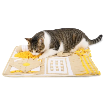Getigert-weiße Katze schnuppert an einer beige-gelben Schnüffelmatte als Puzzlespielzeug auf weißem Hintergrund.