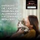 Bild einer Frau, die eine flauschige Katze hält, mit Text, der Purina Pro Plan LiveClear Katzenfutter bewirbt, das Allergene im Katzenhaar reduziert.