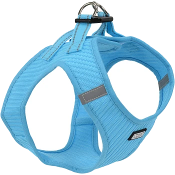 Harnais pour animaux de compagnie bleu clair avec un design rembourré, doté d'un D-ring en métal pour l'attache de la laisse et d'accents gris.