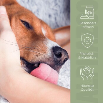 Ein Diagramm mit täglichen Dosierungsempfehlungen für Haustiere basierend auf dem Gewicht, mit Abschnitten für Hunde und Katzen, ausgestattet mit einer Holzschale voller Tabletten.