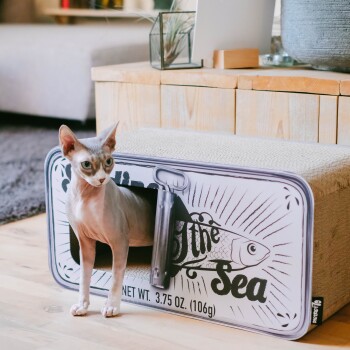 Eine verspielte haarlose Katze steht am Eingang eines Kratzbaums, der wie eine Fischdose aussieht, beschriftet mit "Catch of the Sea."
