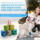 Selbstklebende Verbände für Haustiere, mit bunten Designs wie Herzen und Pfotenabdrücken, mit einem Hund, der einen blauen Verband an seinem Bein trägt.