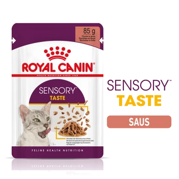 Royal Canin Sensory Taste kattenvoer zakje, 85g, met een kattengezicht en stukjes in jus, met tekst die 'Feline Health Nutrition' benadrukt.