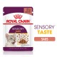 Royal Canin Sensory Taste kattenvoer zakje, 85g, met een kattengezicht en stukjes in jus, met tekst die 'Feline Health Nutrition' benadrukt.