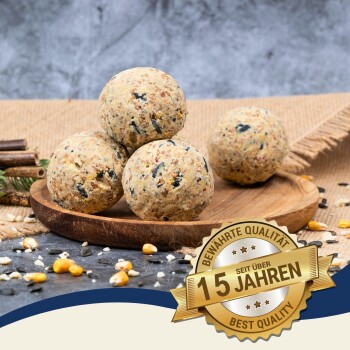Vier Vogelfutterbälle auf einem Holzbrett, umgeben von Samen und Mais, mit einem goldenen Abzeichen, das "15 Jahre" und "Beste Qualität" liest.