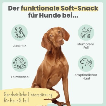 Brauner Hund mit deutschem Text 'Der funktionale Soft-Snack...' und Banner 'Ganzheitliche Unterstützung für Haut & Fell'.