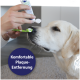 Hand, die Zahnpasta auf eine grüne Zahnbürste aufträgt, in der Nähe der Schnauze eines Golden Retrievers; blaues Abzeichen: "Komfortable Plaque-Entfernung."