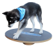Ein schwarz-weißer Hund, der ein blaues Halstuch trägt, steht auf einer runden, drehbaren Trainingsplattform.