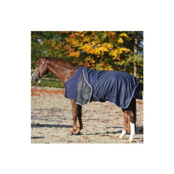Ein braunes Pferd, das eine marineblaue Decke trägt, steht in einem sandigen Bereich mit herbstlichem Laub im Hintergrund.