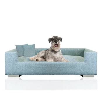 ® Hundesofa, Hundebett für mittelgroße und grosse Hunde, inkl. 2x Dekokissen Ein gemütliches blaues Hundesofa mit zwei kleinen Kissen, auf dem ein entspannter Hund bequem liegt.