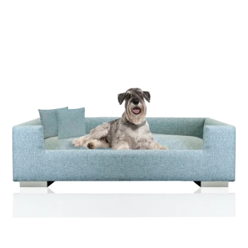 Ein gemütliches blaues Hundesofa mit zwei kleinen Kissen, auf dem ein entspannter Hund bequem liegt.
