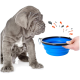 Ein grauer Welpe sitzt neben einer Hand, die eine zusammenklappbare blaue Haustierschüssel hält, mit bunten Spritzern, die darum herum illustriert sind.