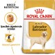 Royal Canin Labrador Retriever hondenvoerzak, met de tekst 'ADULT Labrador Retriever' en iconen voor rasvoeding en ideaal gewicht.
