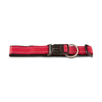 Rotes Hundehalsband mit schwarzer Schnalle mit der Aufschrift 'WOLTERS', Metall-D-Ring und reflektierenden Nähten vor weißem Hintergrund.
