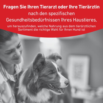 Schwarzweißfoto eines lächelnden Tierarztes mit Border Collie; rotes Banner mit der Aufschrift 'Fragen Sie Ihren Tierarzt oder Ihre Tierärztin'
