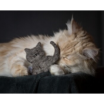 Eine flauschige orange Katze schläft friedlich neben einem kleinen grauen Filzspielzeug, das auf einer dunkelgrünen Decke ruht.