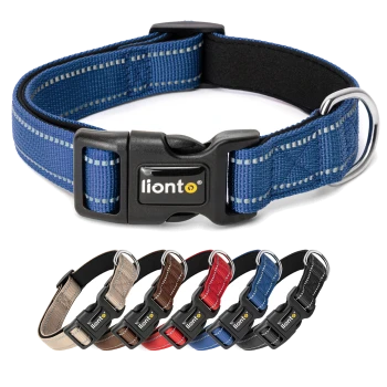 Ein blaues Haustierhalsband mit kariertem Muster, mit einer schwarzen Schnalle und einem Metall-D-Ring, gebrandet mit "lionto."
