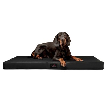 Ein schwarzer Dobermann, der bequem auf einem großen schwarzen Haustierbett liegt, mit einem kleinen "tierland"-Logo an der Seite.