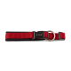Rotes gepolstertes Nylon-Hundehalsband mit schwarzer Kunststoffschließe und Metall-D-Ring, verstellbarer Riemen; Schnalle mit 'WOLTERS'-Beschriftung