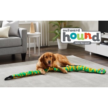 Ein Golden Retriever liegt auf einem Teppich neben einem bunten, plüschigen Schlangenspielzeug, mit dem Outward Hound-Logo darüber.