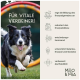 Haustierergänzungsmittel für Hunde mit einer braunen Tablette. Zutaten: Antioxidantien, Glucosamin, Chondroitin, Grünlippmuschel. Marke: Milo & Mia.