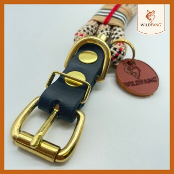 Nahaufnahme eines stilvollen Hundehalsbands mit einem schwarzen Lederband und goldenen Beschlägen sowie einem braunen Lederschild, das mit 'WILDFANG' geprägt ist.