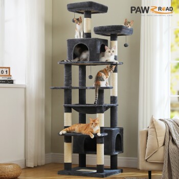 Grauer mehrstufiger Kratzbaum mit Sisalpfosten und hängenden Bommeln, fünf Katzen entspannen im Wohnzimmer; 'PAWROAD'-Logo oben rechts.