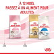 Aliments Royal Canin : trois sacs (Kitten, Maine Coon, Indoor) sous le texte 'À 12 MOIS, PASSEZ À UN ALIMENT POUR ADULTES'.