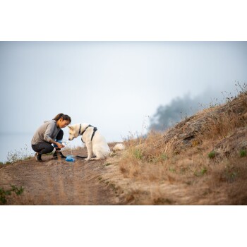 Eine Person in einem grauen Hoodie kniet neben einem weißen Hund auf einem Schotterweg und gießt Wasser in eine blaue Schüssel. Der Hintergrund zeigt eine neblige Landschaft.