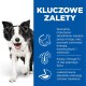 Szczęśliwy Border Collie idzie w stronę widza, z tekstem podkreślającym korzyści ze specjalnej mieszanki karmy dla zwierząt dla zdrowia i energii.