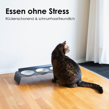 Getigerte Katze an einem erhöhten 3-Schalen-Futterspender mit Trockenfutter; sichtbarer Text: 'Essen ohne Stress, Rückenschonend & schnurrhaarfreundlich'.