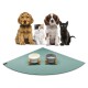 Eine Gruppe von vier Haustieren, darunter zwei Hunde, eine Katze und ein schwarzes Kätzchen, sitzt vor einer grünen Fütterungsmatte mit zwei stilvollen Futternäpfen.