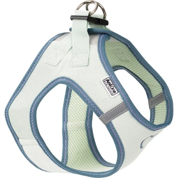 Hellgrünes Hundegeschirr mit einem atmungsaktiven Mesh-Design, ausgestattet mit einem Metall-D-Ring und blauen Akzenten, beschriftet mit 'AmOne.'