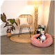Ein gemütlicher Wohnraum mit einem pinken Haustierbett, in dem ein Hund ruht, einem Rattanstuhl mit Kissen, einer Topfpflanze und einer Stehlampe.
