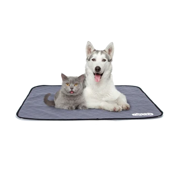 Eine graue Katze und ein sibirischer Husky sitzen zusammen auf einer gesteppten Tiermatte, beide strecken spielerisch ihre Zungen heraus.