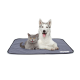 Eine graue Katze und ein sibirischer Husky sitzen zusammen auf einer gesteppten Tiermatte, beide strecken spielerisch ihre Zungen heraus.