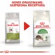Outdoor 4 kg
