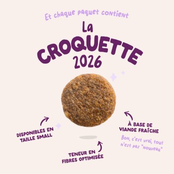 Croquette ronde brun unique avec texte violet «La Croquette 2026» et notes en français : viande fraîche, petite taille, fibres optimisées.