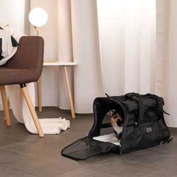 Dreifarbige Katze lugt aus einer geöffneten schwarzen, weichen Transporttasche auf dem Boden in einem Wohnzimmer; die Tasche hat ein kleines Markenetikett.
