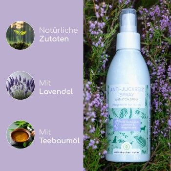 Eine Flasche 'Anti-Juckreiz Spray' für Hunde, beschriftet als 100% natürlich, mit Lavendel und Teebaumöl, umgeben von lila Blumen.