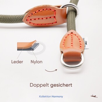 Nahaufnahme einer Hundeleine aus Leder und Nylon, mit Text, der "Doppelt gesichert" und "Kollektion Harmony" anzeigt.