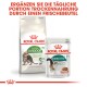 Royal Canin Tiernahrung Verpackung mit "Active Life Outdoor 7+" Trockenfutter und "Instinctive 7+" Nassfutterbeutel, mit Text in Deutsch.